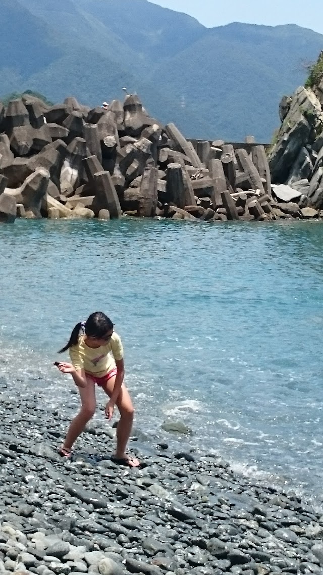 粉鳥林魚港