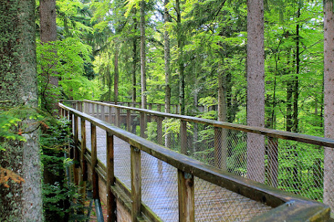 Настроенческое. Три дебила - это сила! Чески Крумлов: его близкие и не близкие окрестности