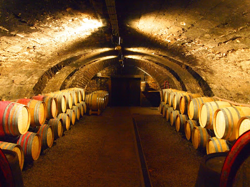 Chateau de Chasselas
