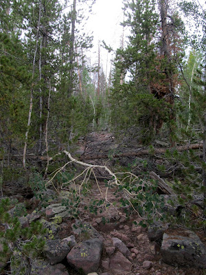 The trails along Rock Creek and Fish Creek were completely unmaintained. We must have had to climb over more than 50 trees like this.