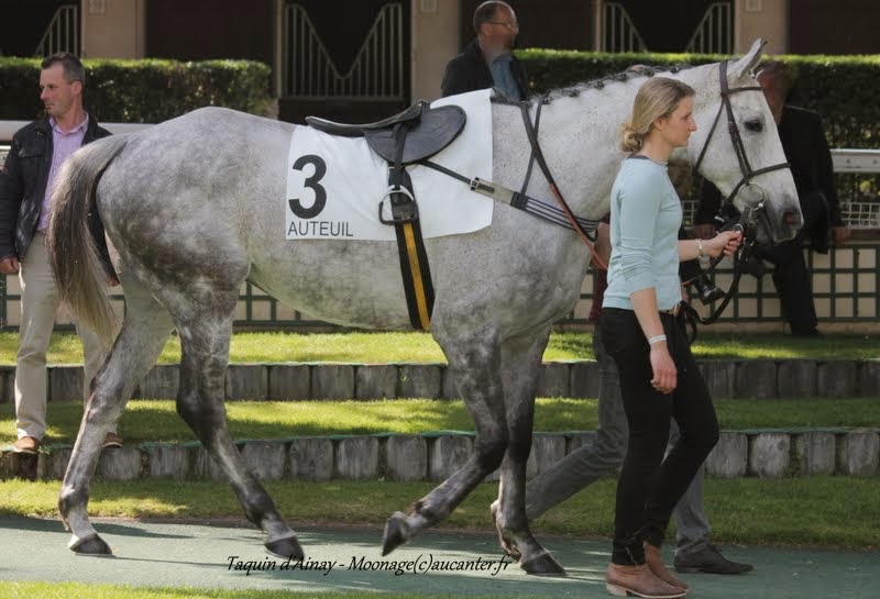 Photos Auteuil 22-05-2015 IMG_0932