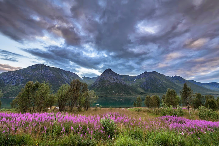 Midnight! Blue nights in Hognfjorden, Vesterålen, in Northern Norway. Photographer Benny Høynes