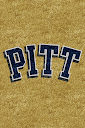 Pitt%252520Panthers%252520Gold.jpg