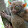 Romain Billot Romain Billot's profile photo