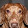 Rachel Nordquist Rachel Nordquist's profile photo