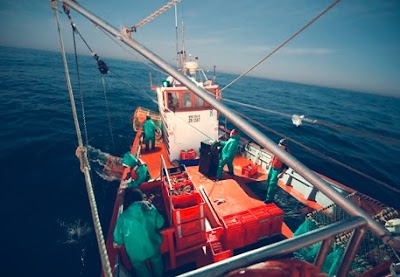 Photos of Glenmar Shellfish Ltd