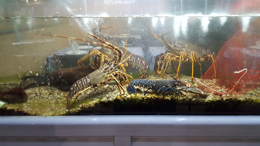 Marisqueira Casablanca