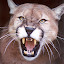 Puma's user avatar