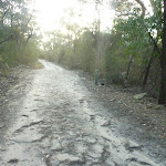 Perimeter Trail near Terrey Hills (307691)
