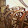 JONNATHAN CONTRERAS JONNATHAN CONTRERAS's profile photo