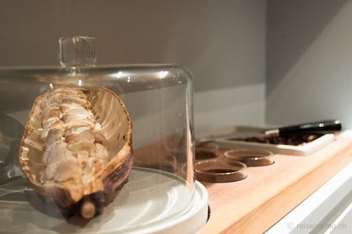 Max Chocolatier
