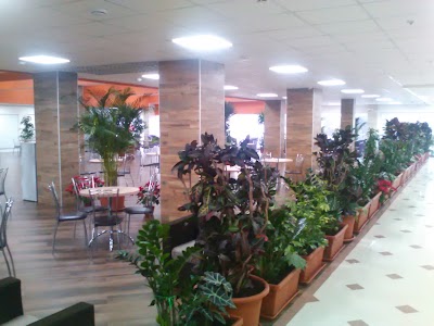 Photos of Cinema City