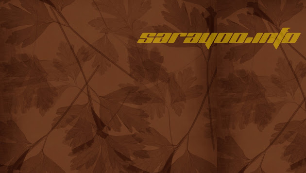 Cover photo