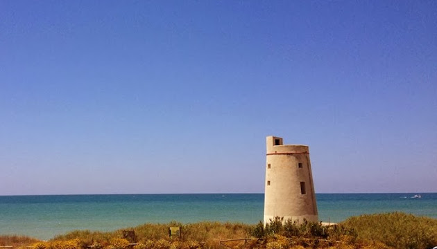 Cover photo