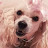 cynthia smith avatar image