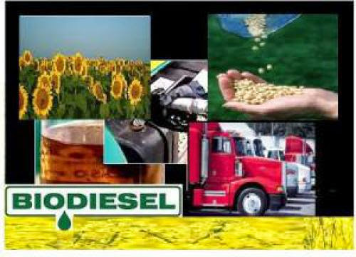 Biodiesel Fuel Producer Says Cbo Report Flawed