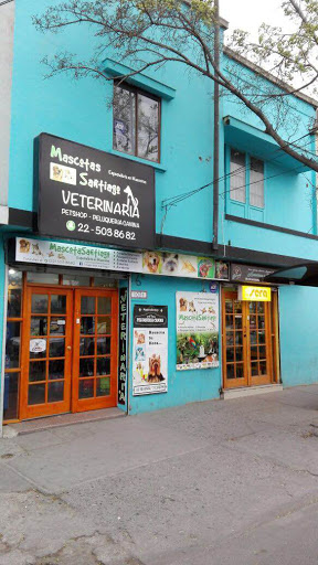 Veterinaria y Peluquería Mascotas Santiago, Ureta Cox 1091, San Miguel, Región Metropolitana, Chile, Veterinaria | Región Metropolitana de Santiago