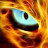 Neko Cat avatar image