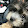 Victor Davila Victor Davila's profile photo