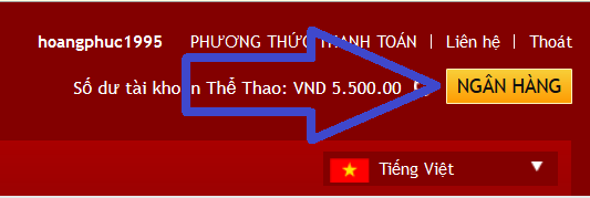 Nhà Cái Cá Độ DafaBet Cách Chơi Cá Độ Trực Tuyến DafaBet