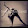 XxMyShadowHeartxX XxMyShadowHeartxX's profile photo