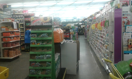 Discount Store «Dollar General», reviews and photos, 1210 W Visalia Rd, Exeter, CA 93221, USA