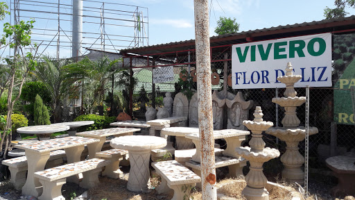 Vivero Flor De Liz, José María Morelos 1400, San Ricardo, 88690 Reynosa, Tamps., México, Vivero mayorista | TAMPS
