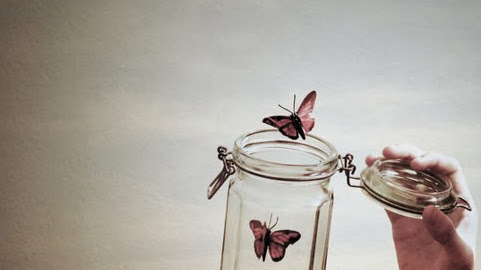 Cover photo