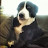 Jeremy Harper avatar image
