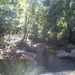 The waterfall waterhole (25090)