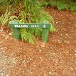 Walking track sign in Pines campground  (320609)