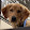 Andrew Coutts Andrew Coutts's profile photo