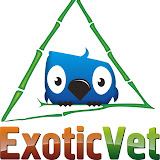 ExoticVet - Clinica Veterinária, Aves, Calopsitas, Roedores, Silvestres, Exóticos, Papagaio, Coelho.