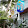 The Grand Guesthouse The Grand Guesthouse's profile photo