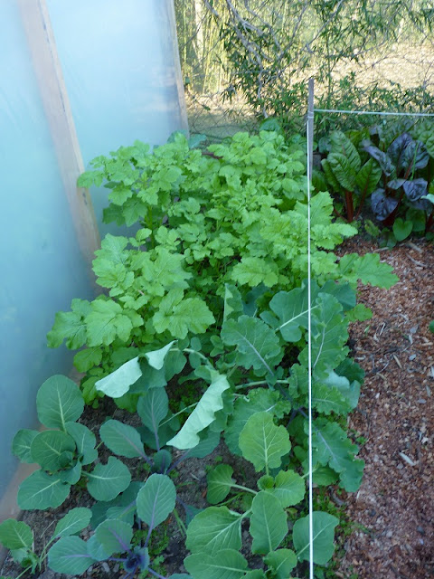 huerta huerta