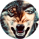So SolarWolf
