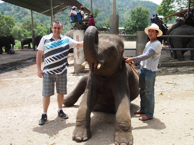 Por Tierras de Siam - Blogs de Tailandia - Chiang Mai - Tiger Kingdom / Maetaeng Elephant Park/ Wat Doi Suthep (21)
