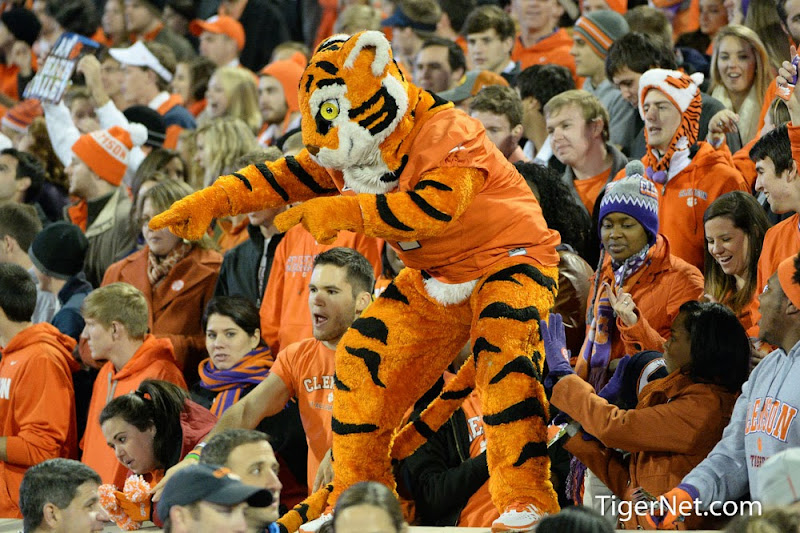 Clemson vs Georgia Tech Photos - 2013, Football, Georgia Tech, The Tiger
