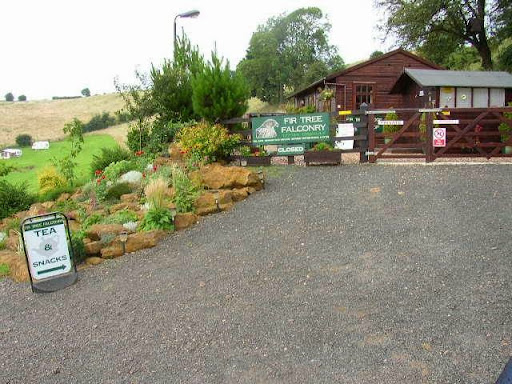 Fir Tree Farm Caravan Site
