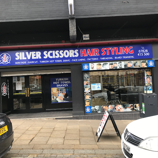 Sliver Scissors