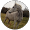 equestrian_ clodagh