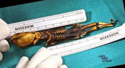 The Atamaca Alien Skeleton An Extraterrestrial Hybrid
