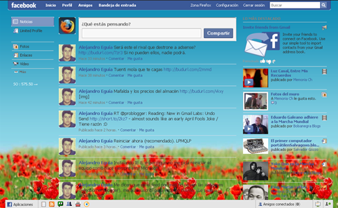 Facebook - Spring Skin
