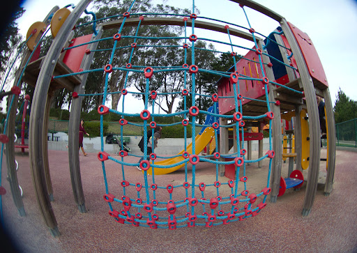 Holly Park