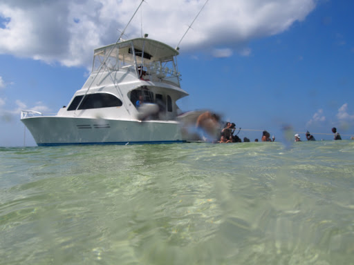 Stingray City