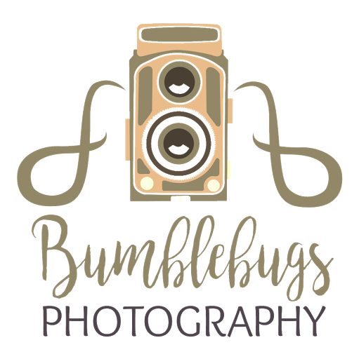 Bumblebugs Photography logo