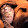 Marie BERTHAUD Marie BERTHAUD's profile photo