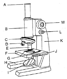 bagian-bagian_mikroskop