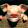 Brian Campbell Brian Campbell's profile photo