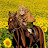 JJFsix avatar image